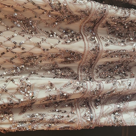 Adrianna Papell Biscotti Formal Gown - Picture 6 of 6